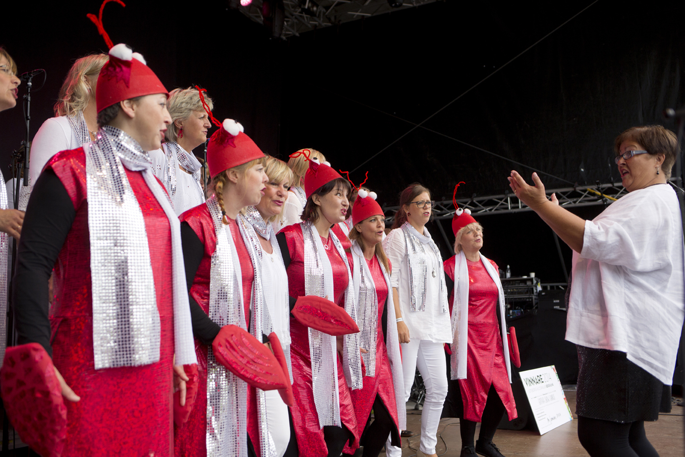 Gothia Show Chorus